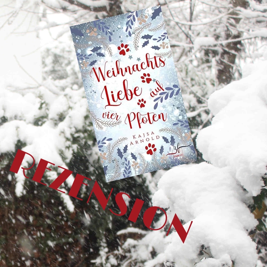 Leichter, schmusiger Winterliebesroman