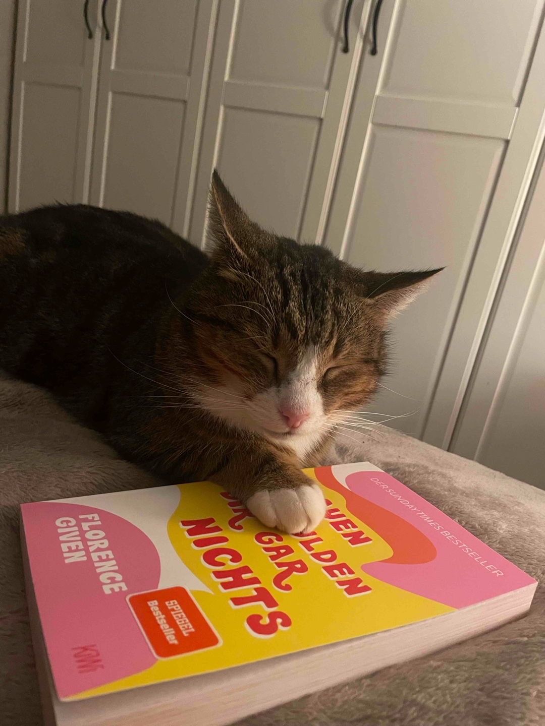 Feministisch Buch mit tollen Illustrationen 