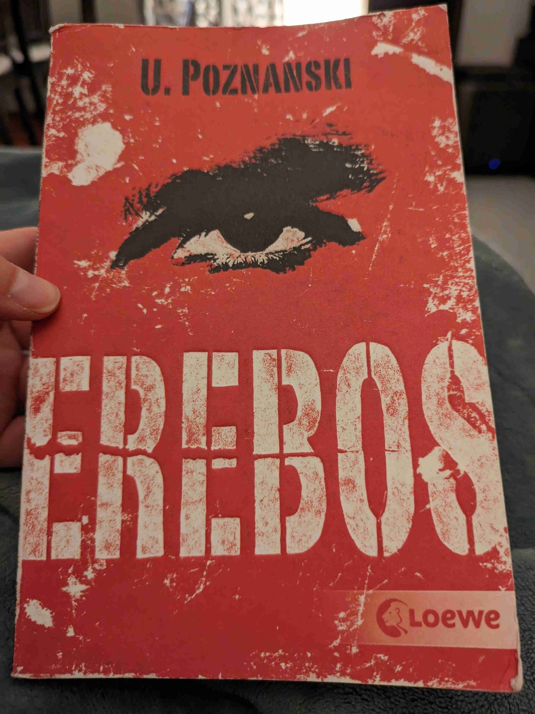 Ein Jugendthriller mit Fantasy Aspekten