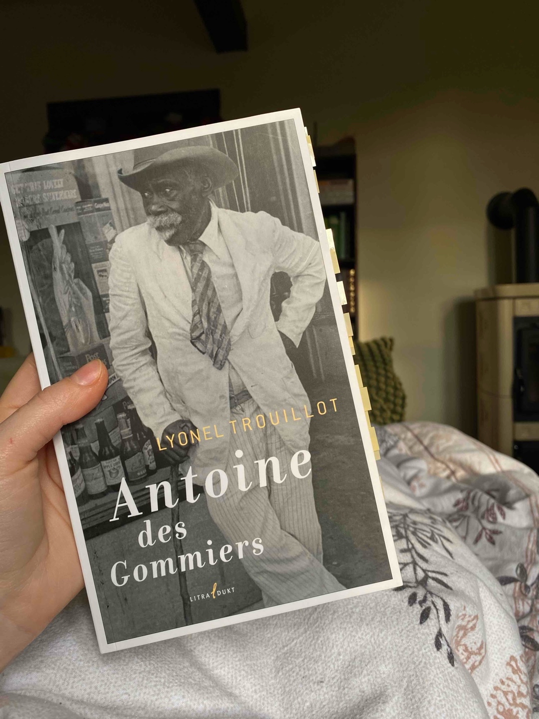 Ich durfte Lyonel Trouillot persönlich kennenlernen bei einer Lesung an meiner Uni. Dort stellte er eben dieses Buch vor. Ich bin sehr dankbar für diese Begegnung, da ich sonst nie dieses Buch gelesen hätte.