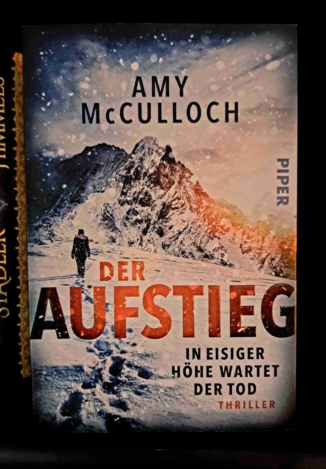 Ich habe das Buch inhaliert! Meiner Meinung nach ein lesenswerter Bergsteigerthriller.