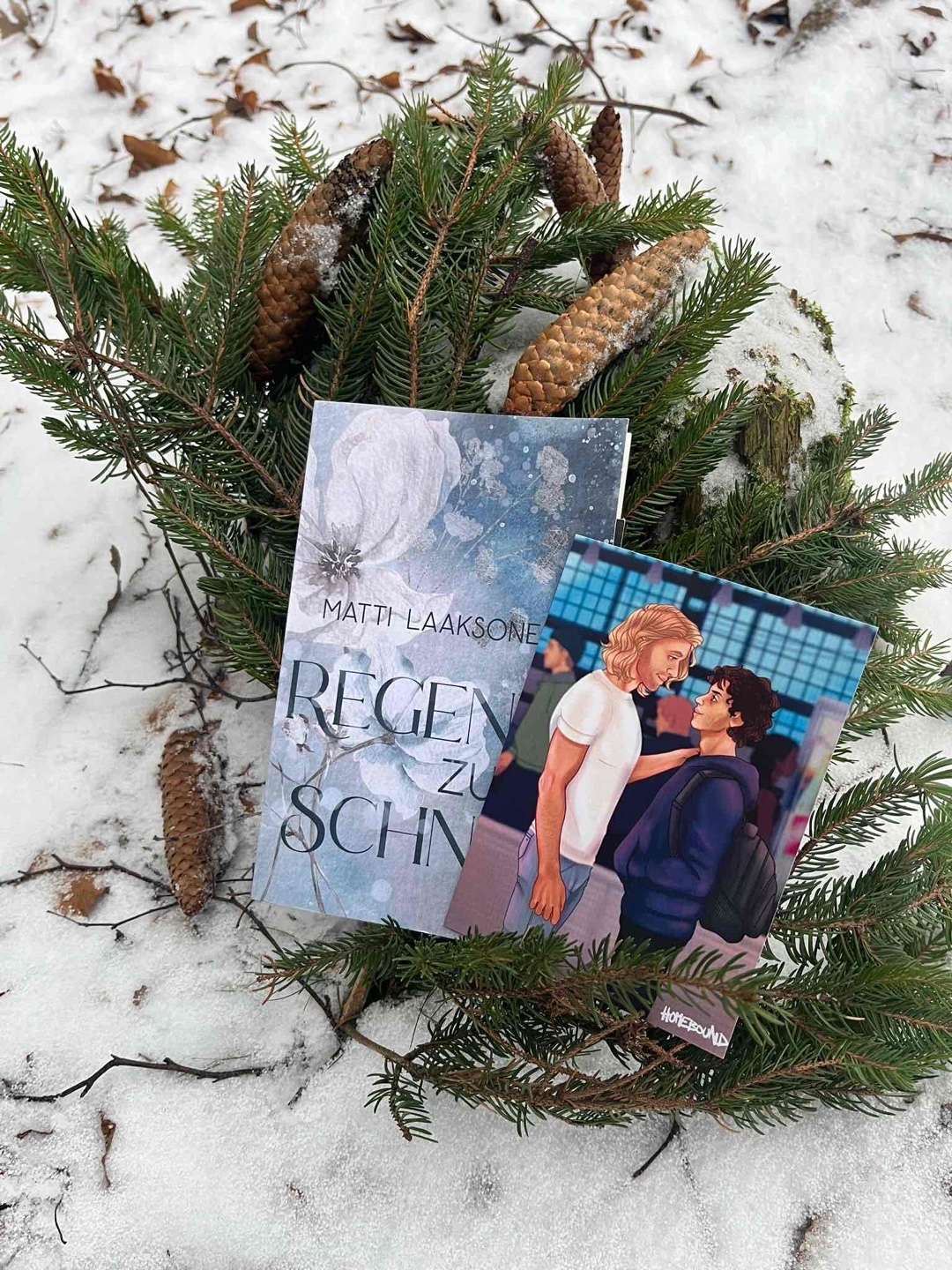 Eine schöne und cozy Wintergeschichte