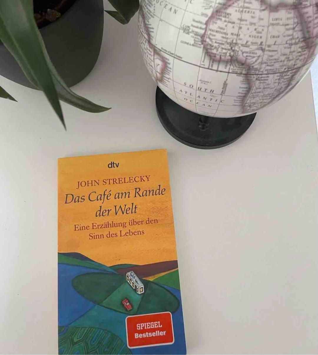 Ich muss sagen am Anfang hat mich das Buch echt nicht umgehauen. Ich hab es gelesen und gelesen und dacht so gib mir doch Antworten einfach. Vielleicht liegt es auch daran das ich ein bisschen ungeduldig bin was sowas angeht. Naja doch am Ende habe ich wirklich über alles ziemlich nachgedacht.