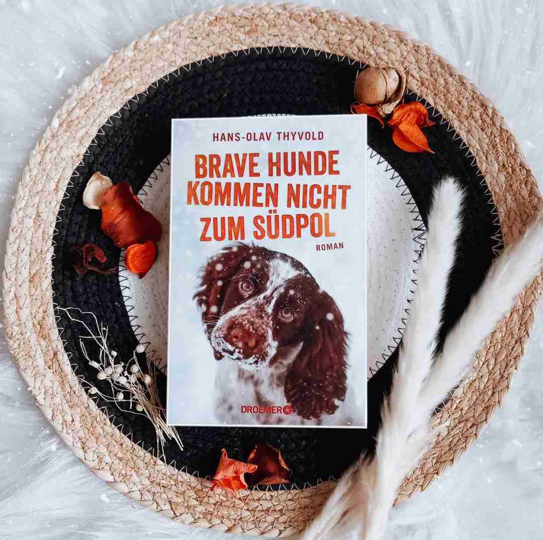 Originelle Idee, gut umgesetzt