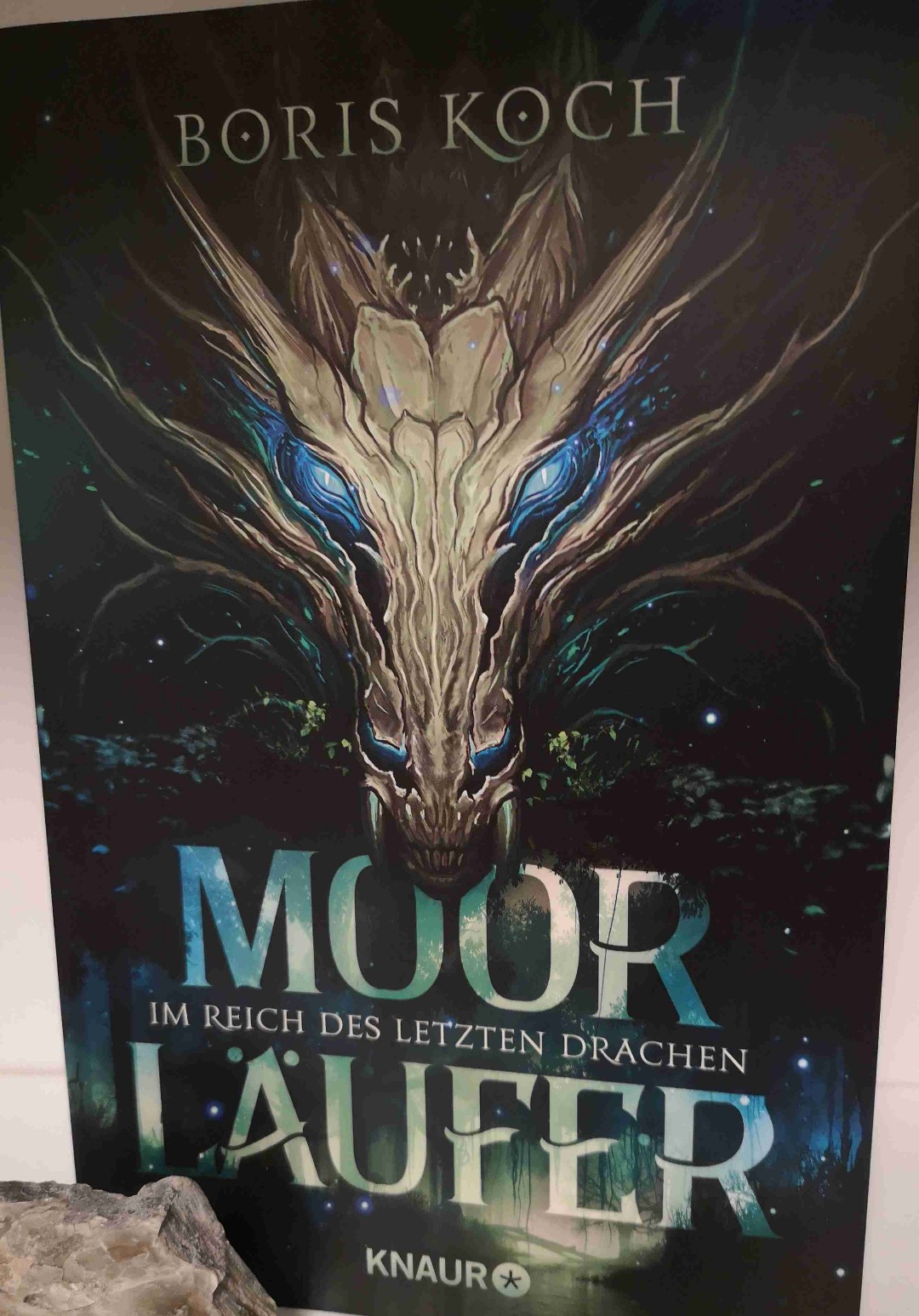 Leider ganz anders als der Klappentext verspricht
