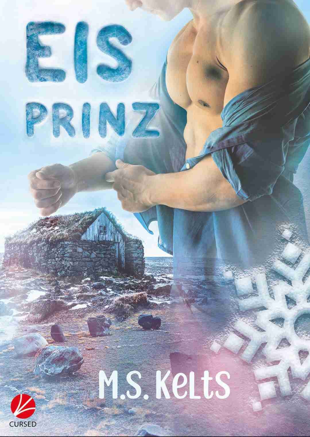 WUNDERVOLLE keltische Saga!