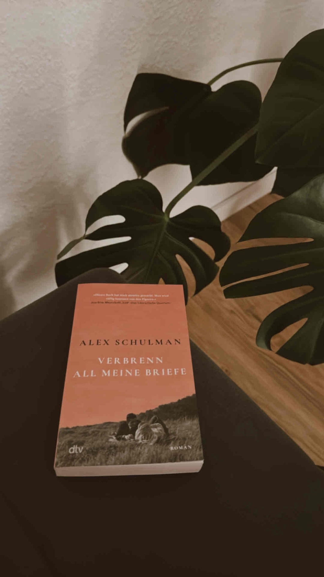 „Man muss versuchen, das Leben mit Dingen zu füllen, die einen zufrieden machen, und manchmal kann man vielleicht auch nach Höherem streben und versuchen, glücklich zu werden und die Dinge, die einen glücklich machen, nicht auf die andere Seite hinübergleiten lassen.“ (S. 262)