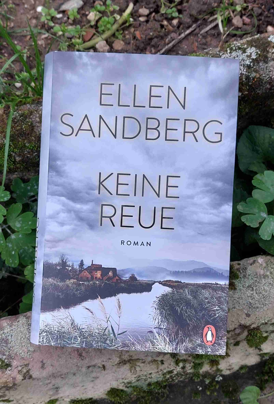 Entfaltet nach und nach sein Potenzial. 