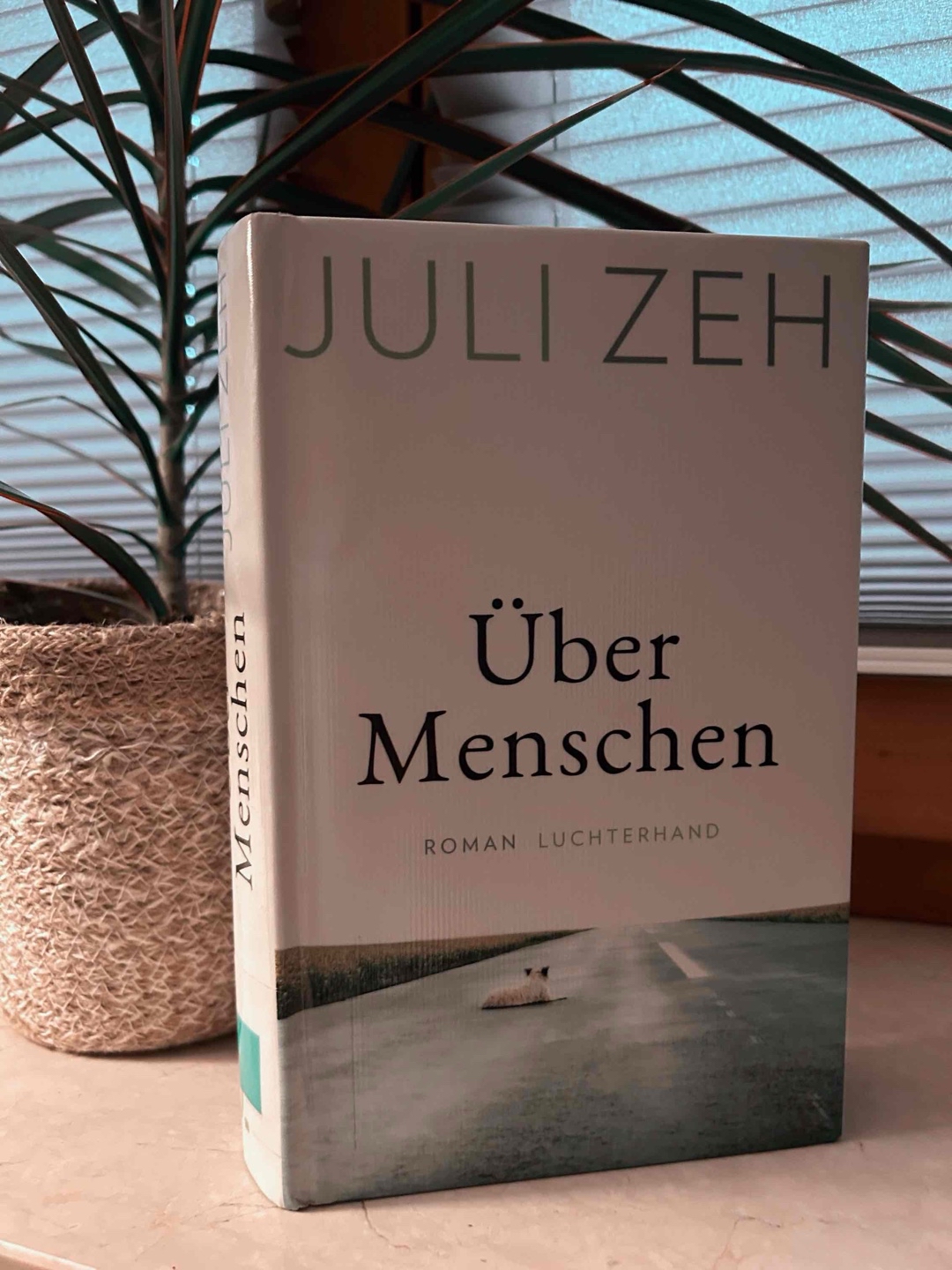 Schwer einzuordnen