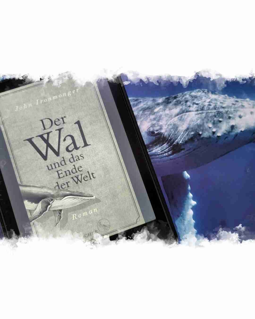 TOLLE Idee - Umsetzung NAJA 🐋