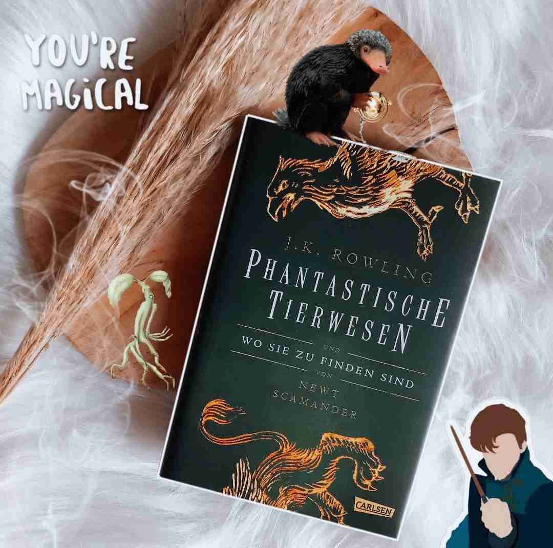 Ein Muss für Potterheads ⚡️