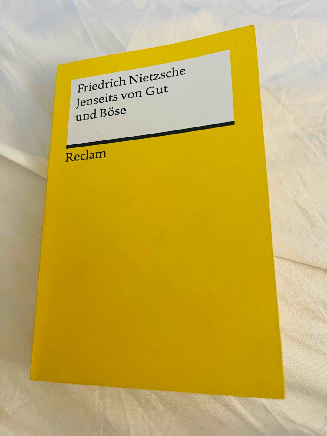 Jenseits von Gut und Böse ist einer der wichtigsten Beitrage Nietzsches zur Moralphilosophie, der Moral als nicht von Gott, sondern vom Menschen gesetzt betrachtet.