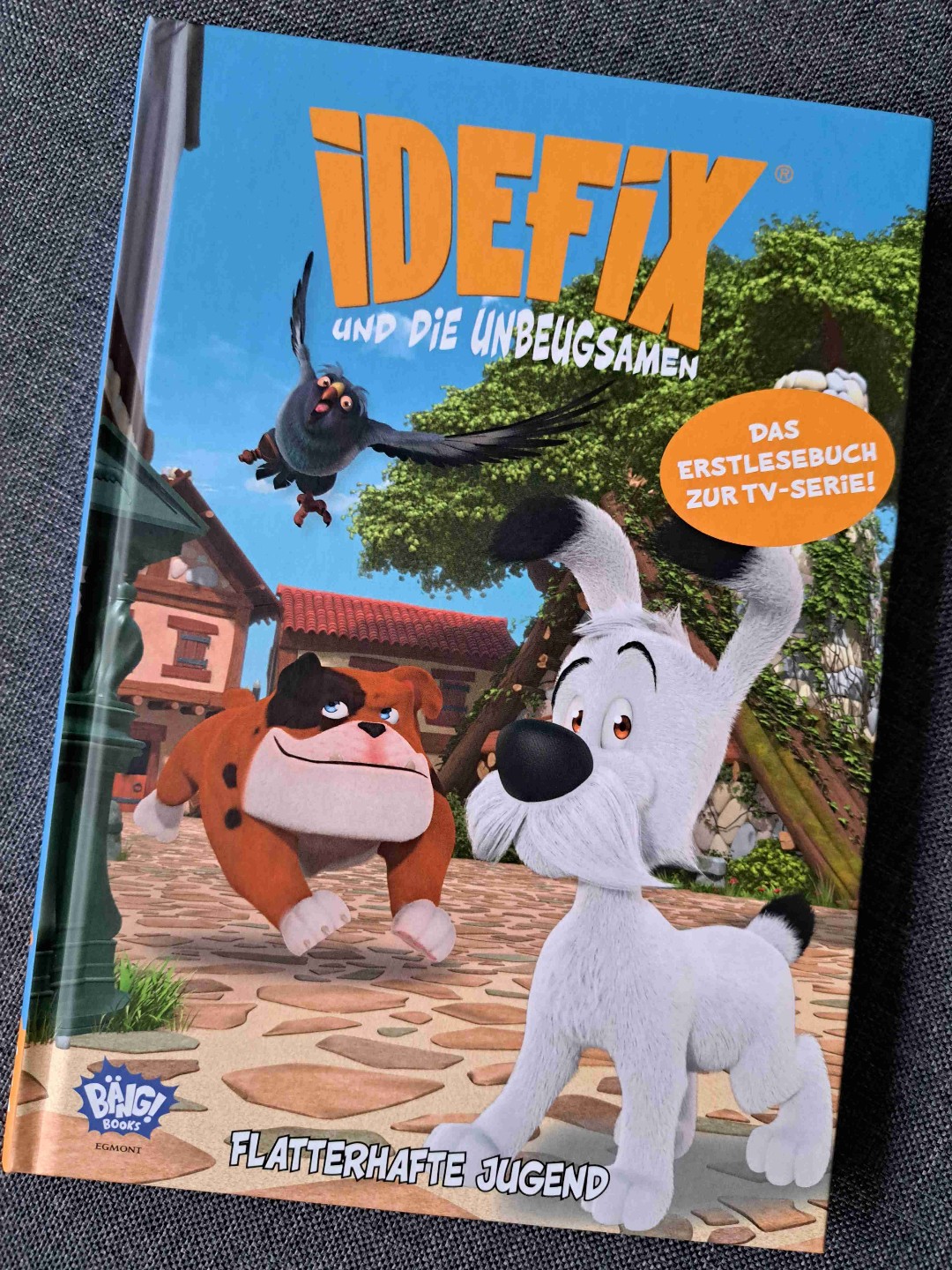 Lesen macht mit Idefix und den Unbeugsamen richtig viel Spaß!