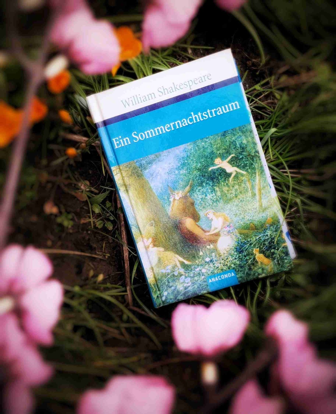 Traumhafte Verwirrung  🧚‍♂️