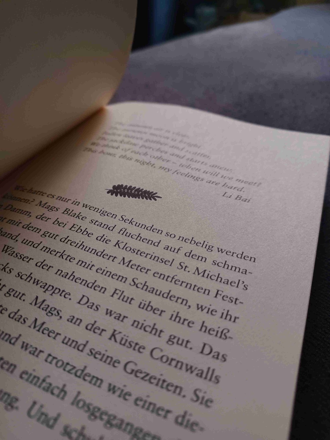 English: Just a relaxed thriller
German: Bloß ein entspannter Krimi