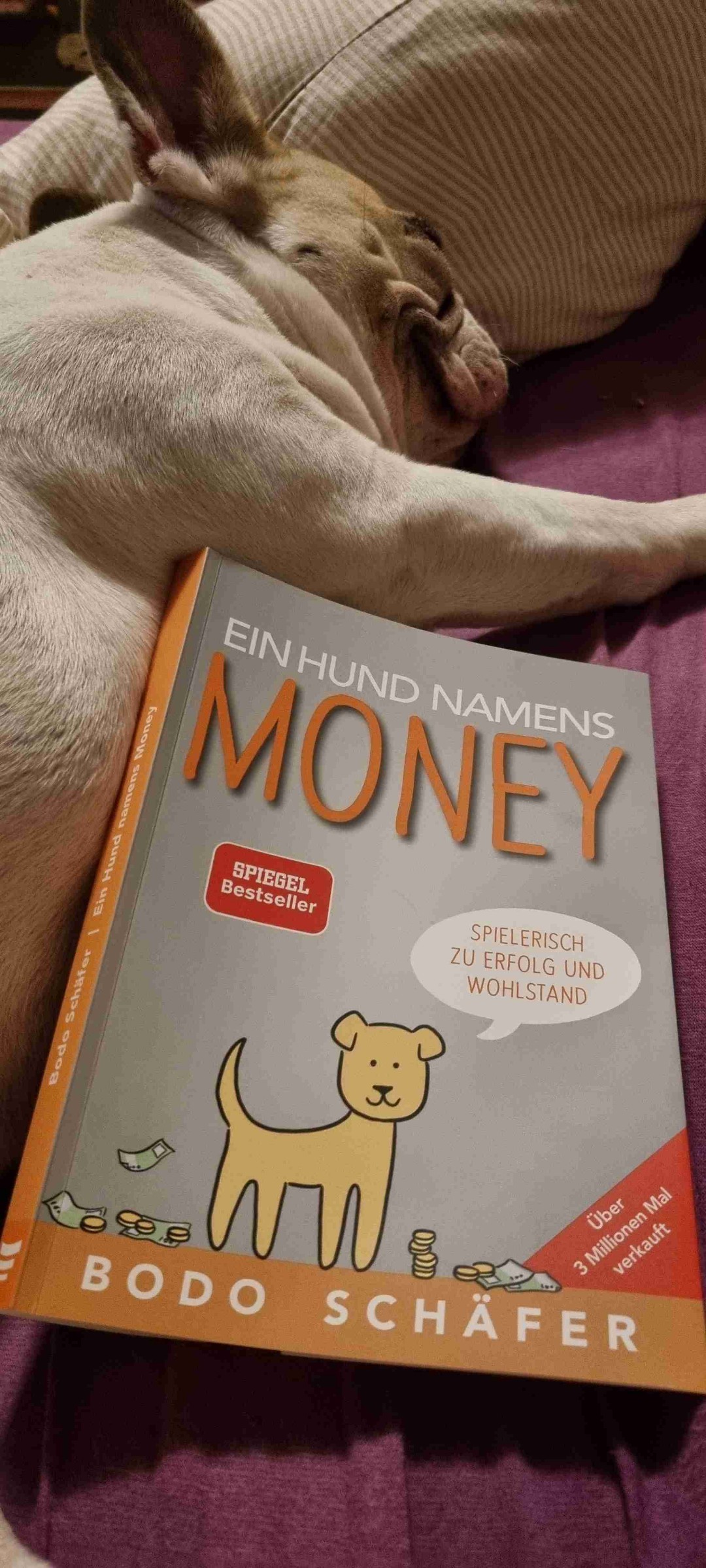 Ich bin sehr froh, das Buch in meinem Regal zu wissen