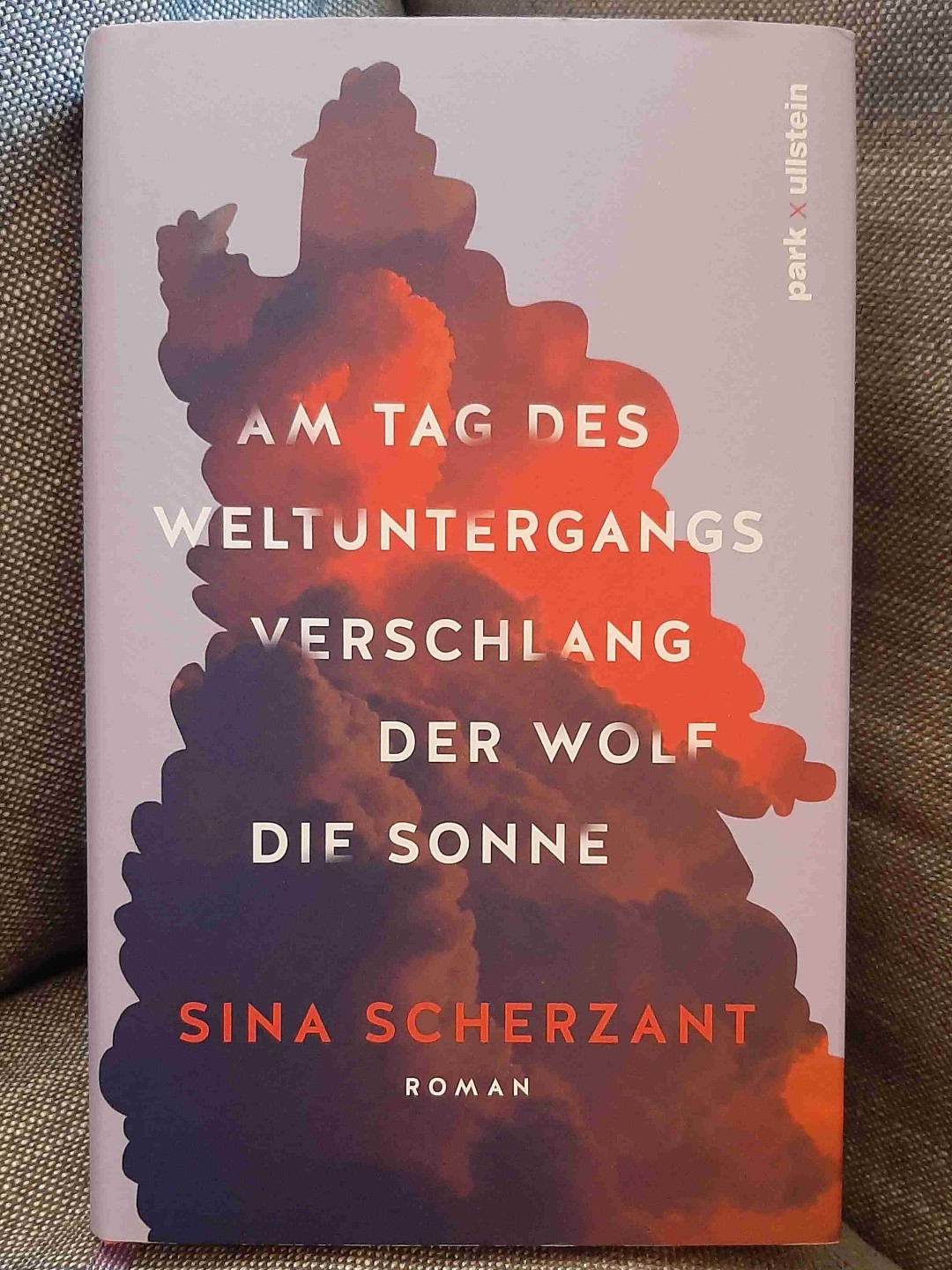 Der Roman spielt in den 00er Jahren und ist in 3 Teile gegliedert. Es bleibt ein durchwachsener Eindruck in mir.