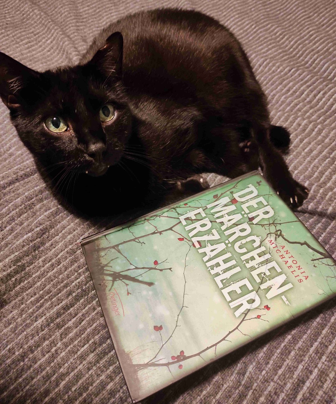 Es hätte ein gutes Buch werden können, aber...