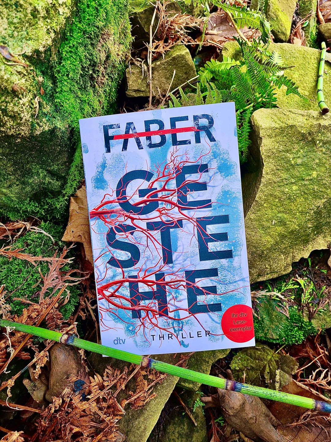Leseempfehlung! Ein spannender Thriller mit einigen Überraschungseffekten!