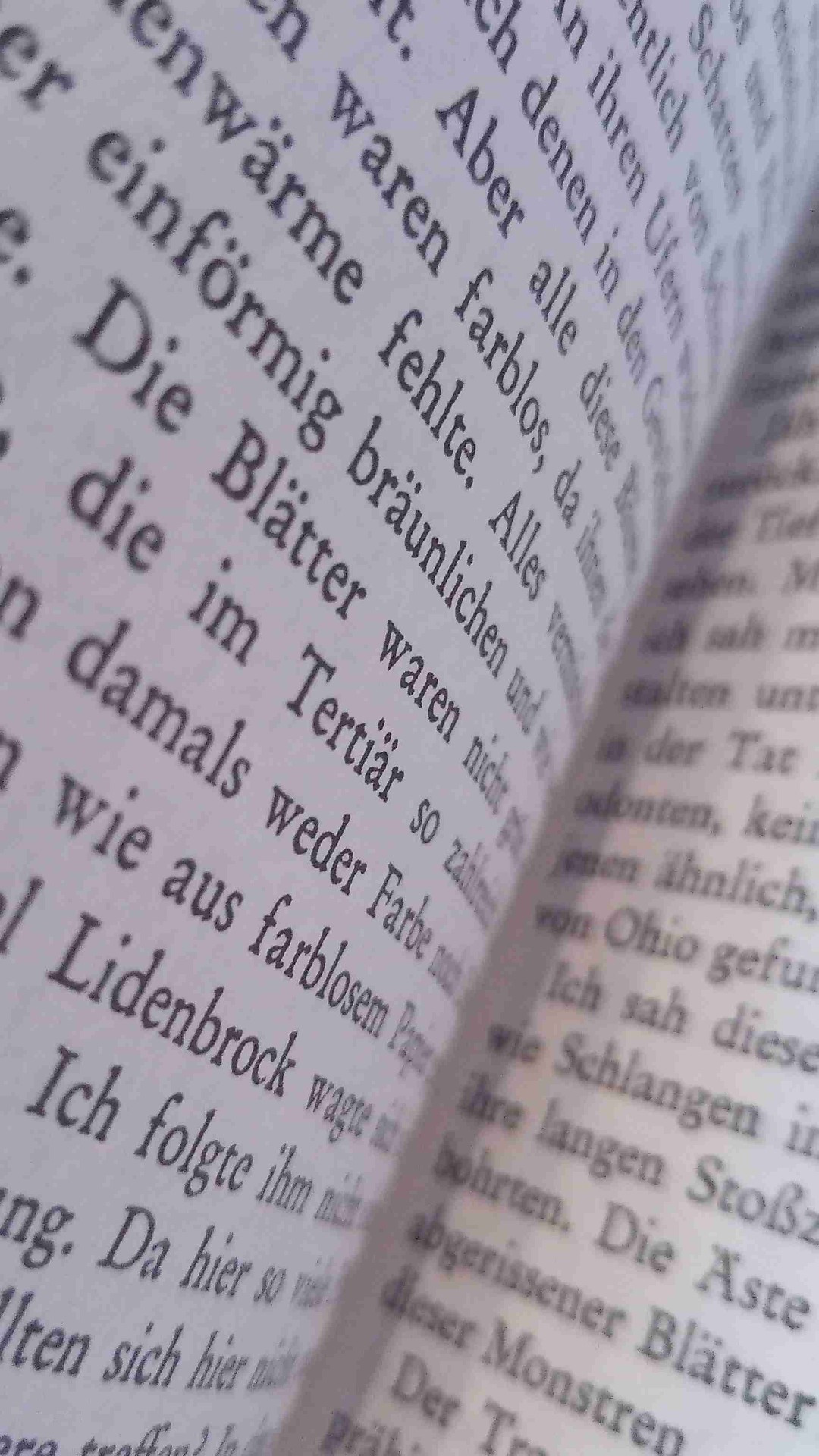 War sehr spannend.