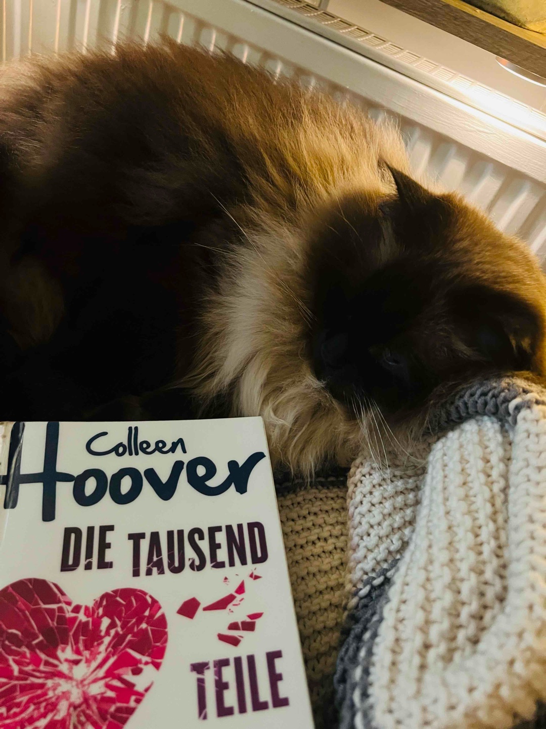 Tolles Thema 🫶