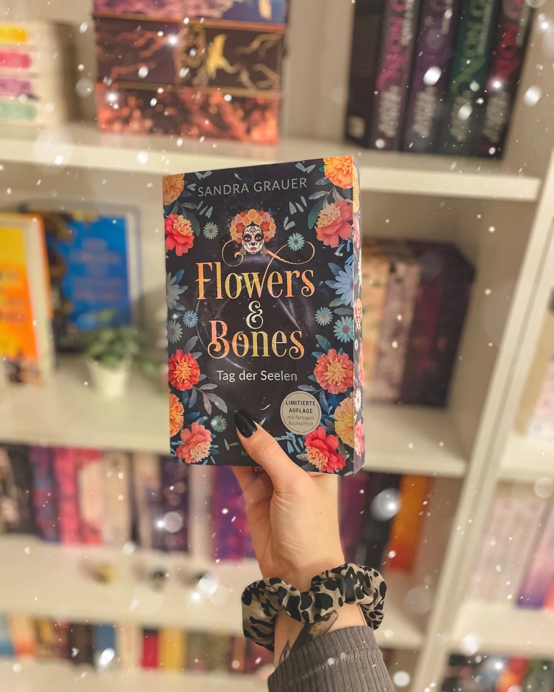 Drachen. 🐉 Hexen. 🧙La Catrina. 🕯️ Fae. 🧚🏻 Queer. 🏳️🌈