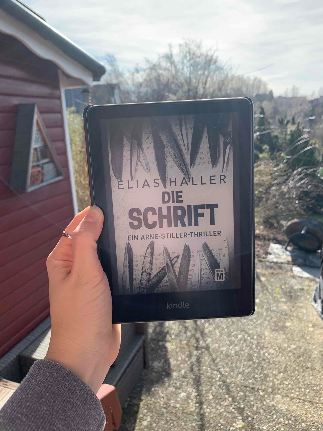 PrimeRead Buch. 
Ich hab mir schwer getan in die Geschichte rein zu kommen. Die Wendungen waren okay. Alles in allem würde ich das Buch aber nicht zwingend  empfehlen! 