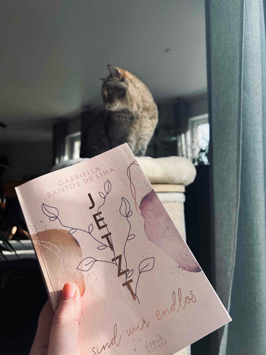 Das schönste Buch, was jedes Mädchen einmal lesen sollte 💜