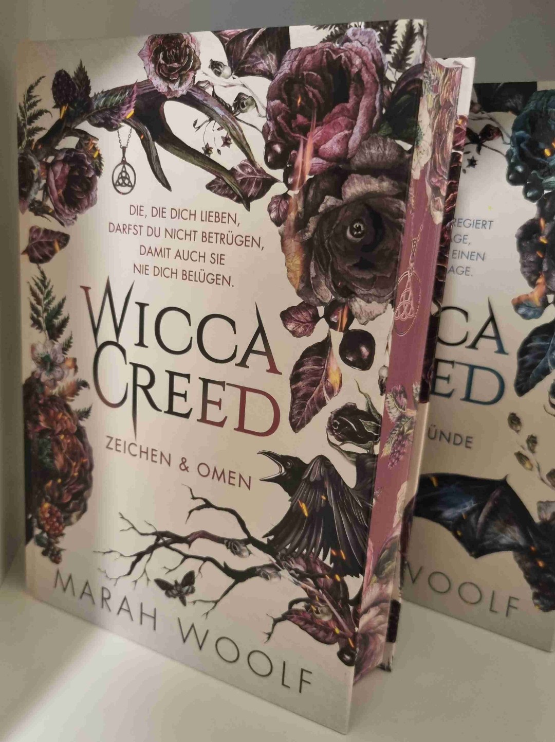 Wow, eine faszinierende Geschichte in der Welt der Wicca, Hexen, Vampire und Werwölfe
