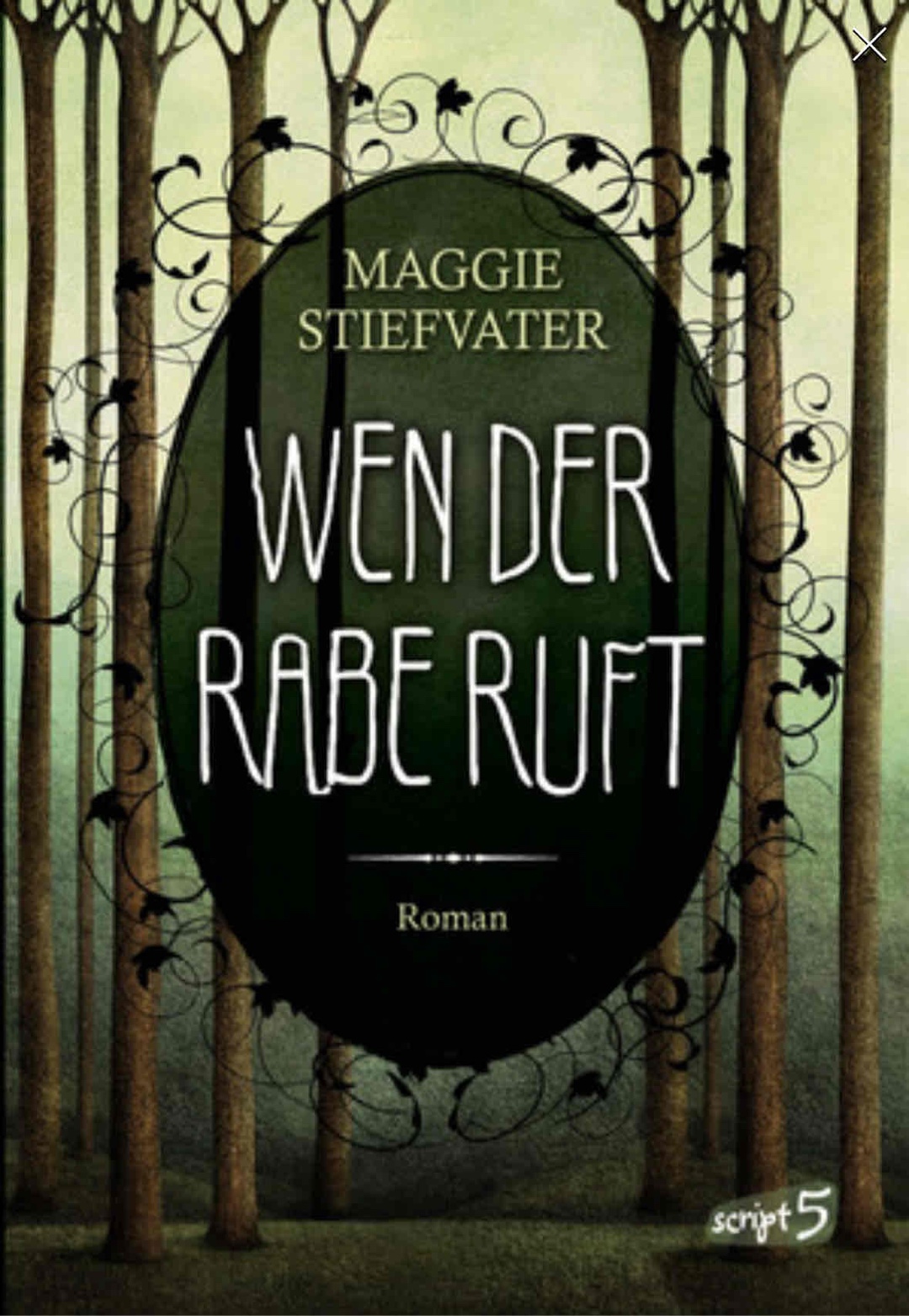 Nach einem Anfang, der sich hingezogen hat ein sehr spannender Auftakt in die Reihe!