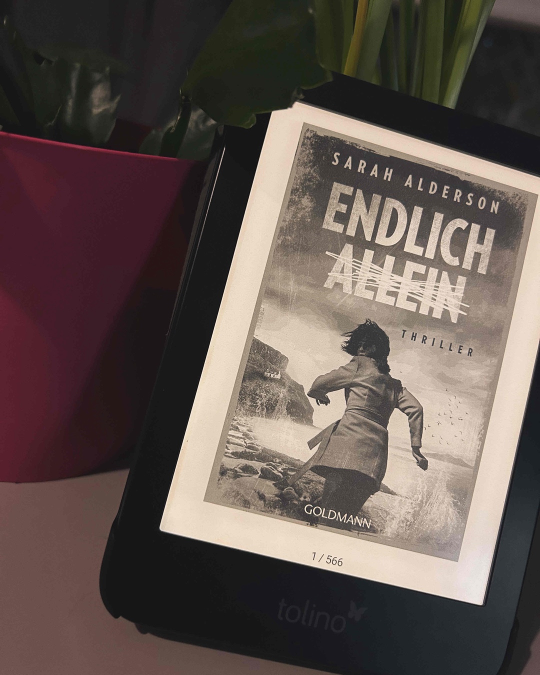 Absolute Lese-Empfehlung und Jahreshighlight