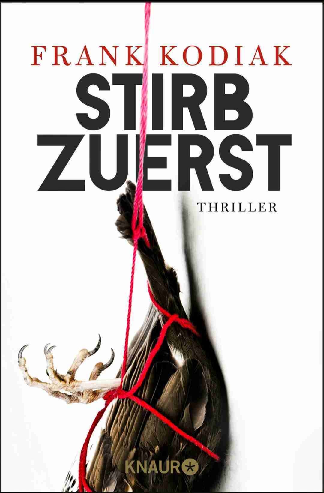 Schneller Thriller für zwischendurch