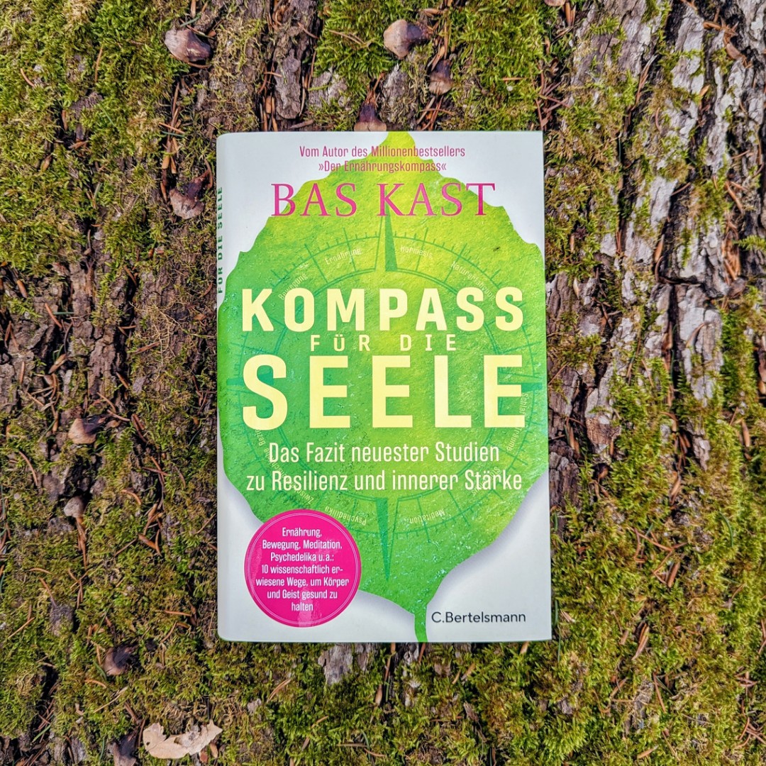 Fundiert und anwendbar, dabei leicht zu lesen.