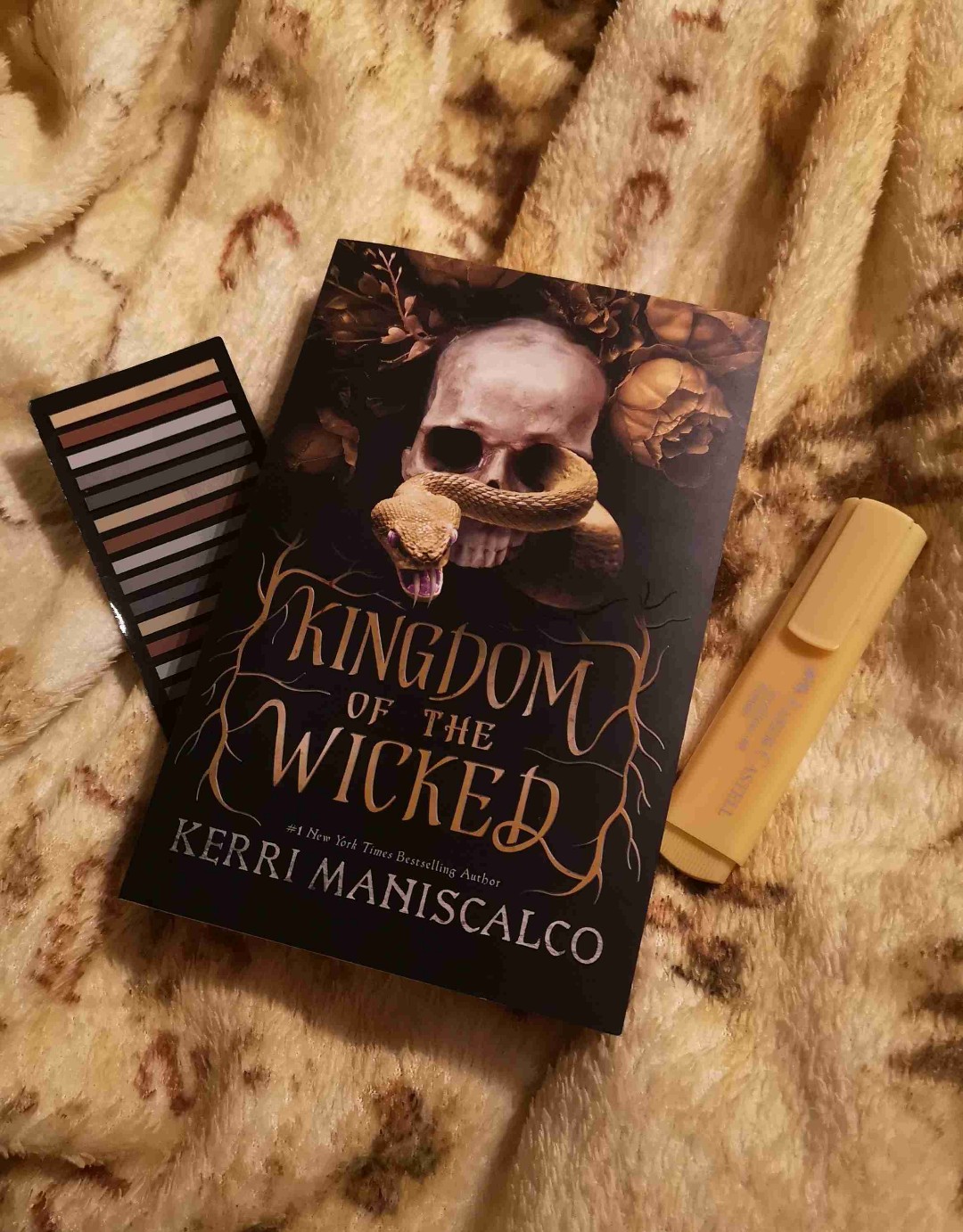 I'm officially a fan of Kerri Maniscalco. This book truly swept me off my feet and I devoured it so fast.
I am a slow reader and this book took me out of my long reading slump.