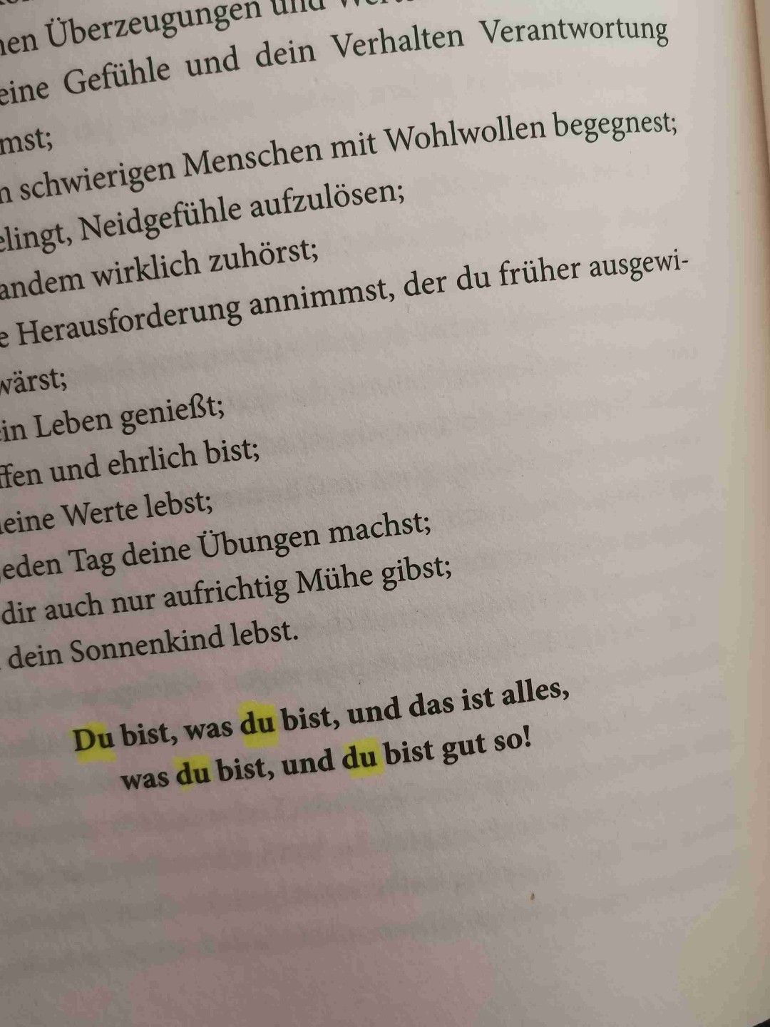 Dieses Buch schenkt einen Motivation und Selbsterkenntnis!