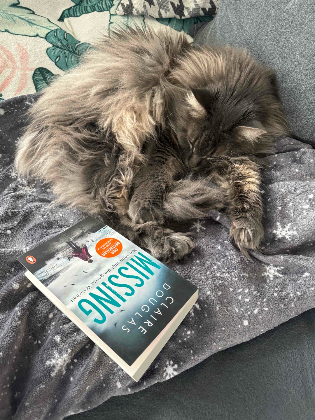 Mein erstes Buch der Autorin. Ich muss sagen, ich bin echt positiv überrascht. 
Den Plot habe ich tatsächlich echt nicht kommen sehen - und ich habe viele Eventualitäten abgewogen ^^
Ich hatte es schnell durch und fand den Wechsel zwischen beiden Protagonisten sehr angenehm. 
Zum Ende hin und auch jetzt hatte ich Gedanken mir gerne zuvor eine Triggerwarning gewünscht zu haben..  (Sexuelle Belästigung, Vergewaltigung, Gewalt, Nachstellung, Krankheiten..) 
Dennoch werde ich auch ein weiteres Buch der Autorin lesen und bin von der Story allgemein angetan, überrascht und zufrieden zugleich. 