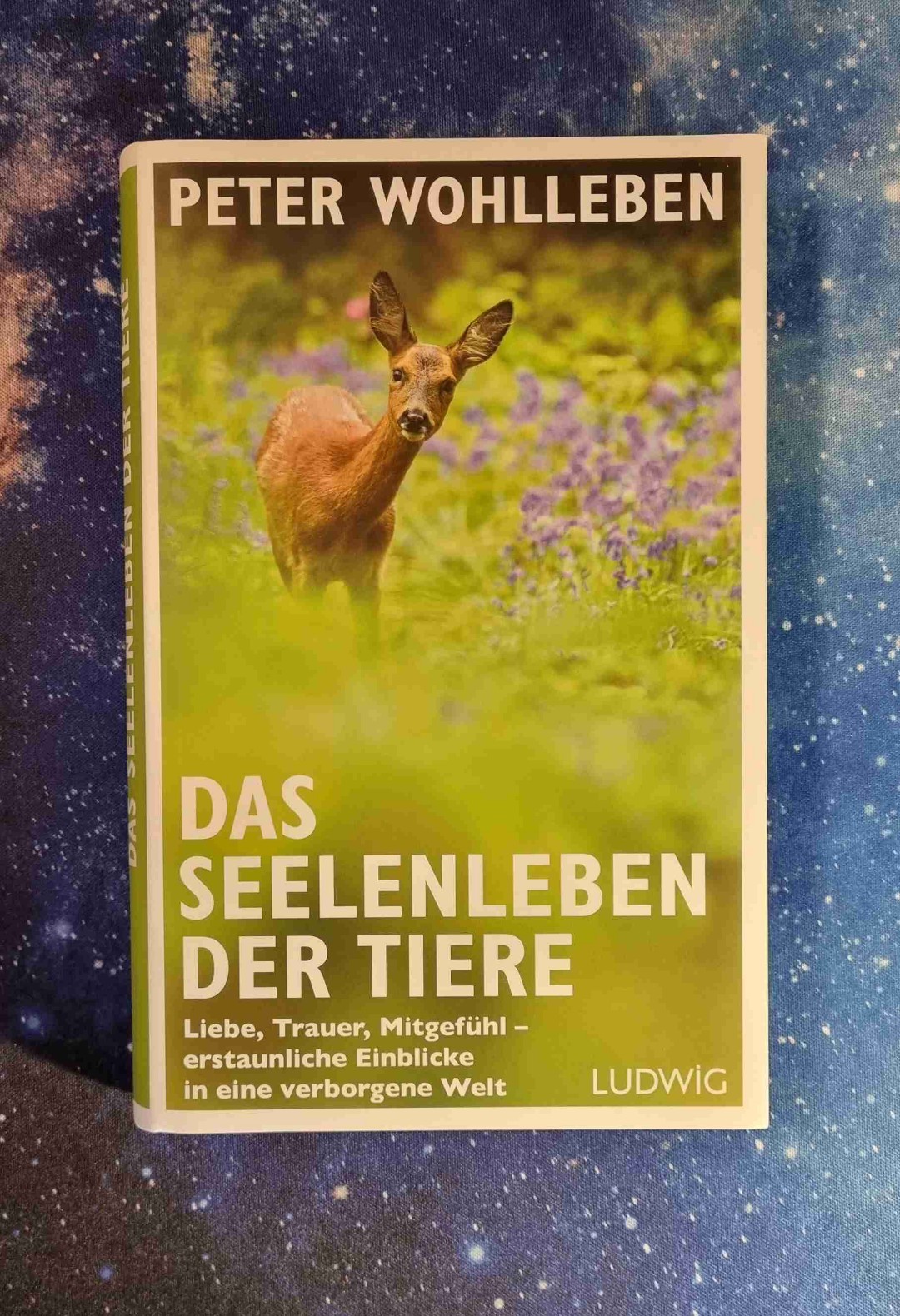 Ein schönes Buch, das uns die Tierwelt näher bringt.
