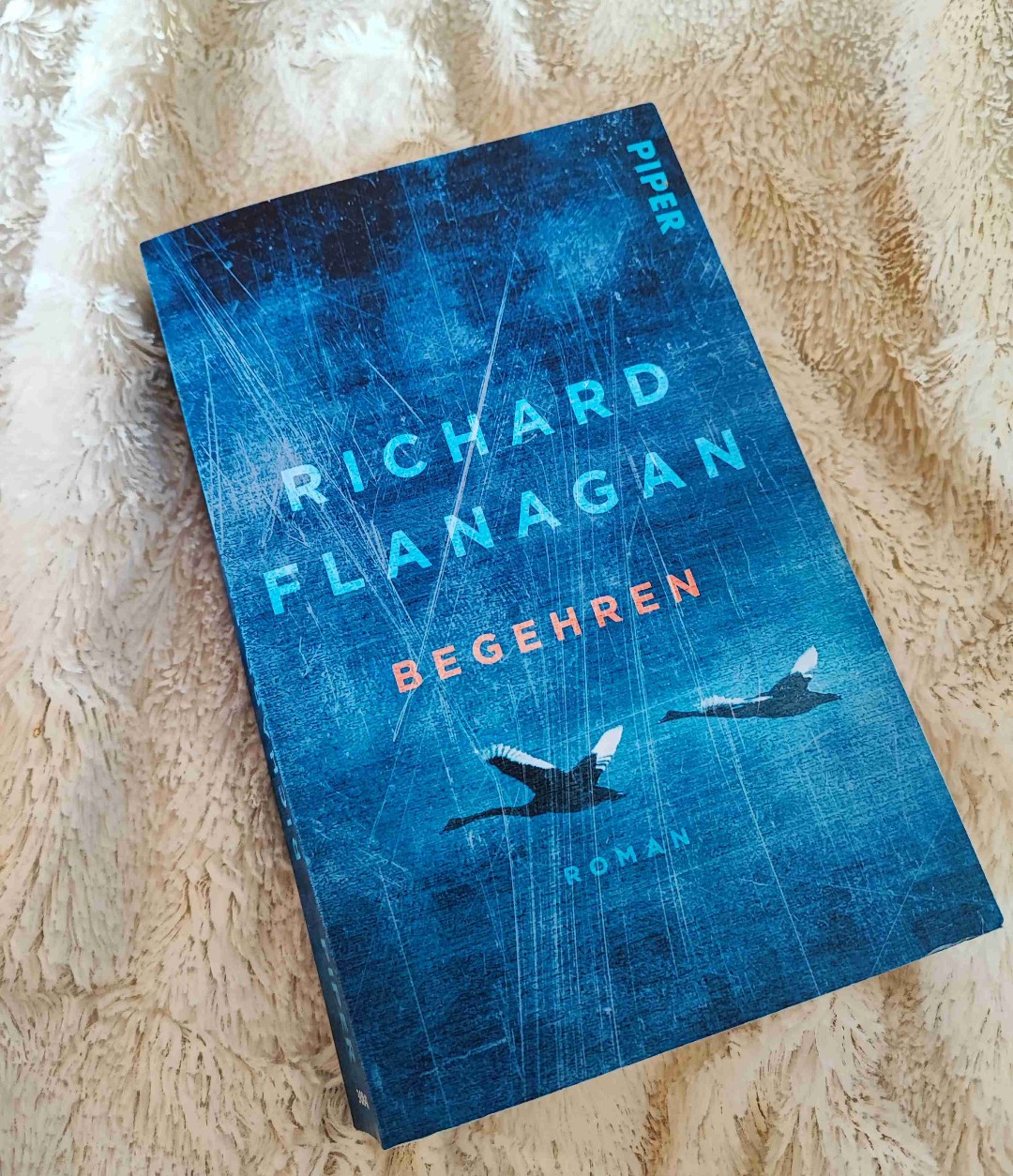 Interessantes Buch, könnte eine Triggerwahnung vertragen