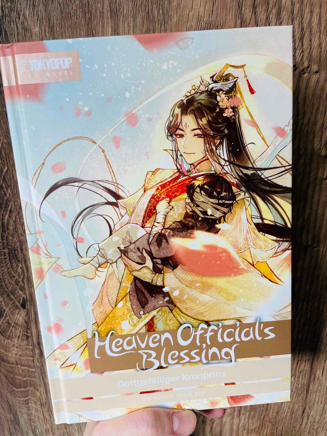 Die Vergangenheit von Xie Lian & seiner Heimat Xianle~