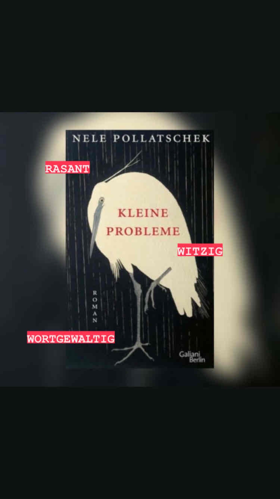 WIRKLICH AMÜSANT!