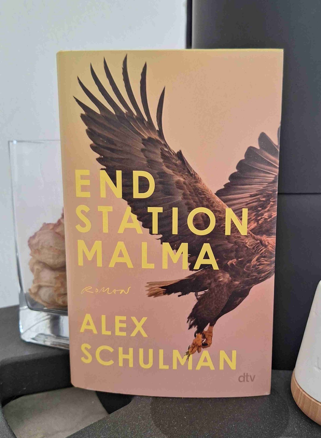 "Endstation Malma" ist das zweite Buch von Alex Schulman, das ich gelesen habe. Wie auch in "Die Überlebenden" erweisst sich der Autor als sensibler Beobachter seelischer Sehnsüchte und sich daraus entwickelnder familiärer Verstrickungen.