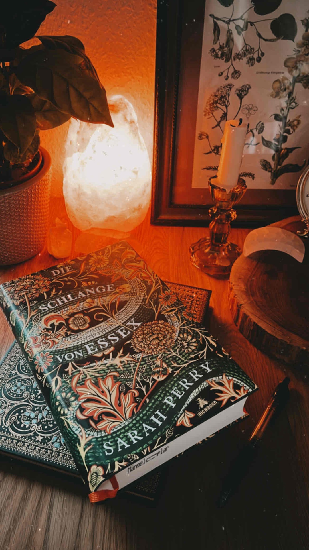 Ich habe es sehr gemocht. Die Schlange bringt eine mysteriöse Stimmung ins Buch. Das Cora sich der Naturforschung verschreibt, ist nicht der Tatsache geschuldet, dass sie es als Beruf ausübt, sondern eher als Hobby. Fande das etwas schade! Hat auch sehr melancholische und düstere Passagen, passt perfekt in den Winter.