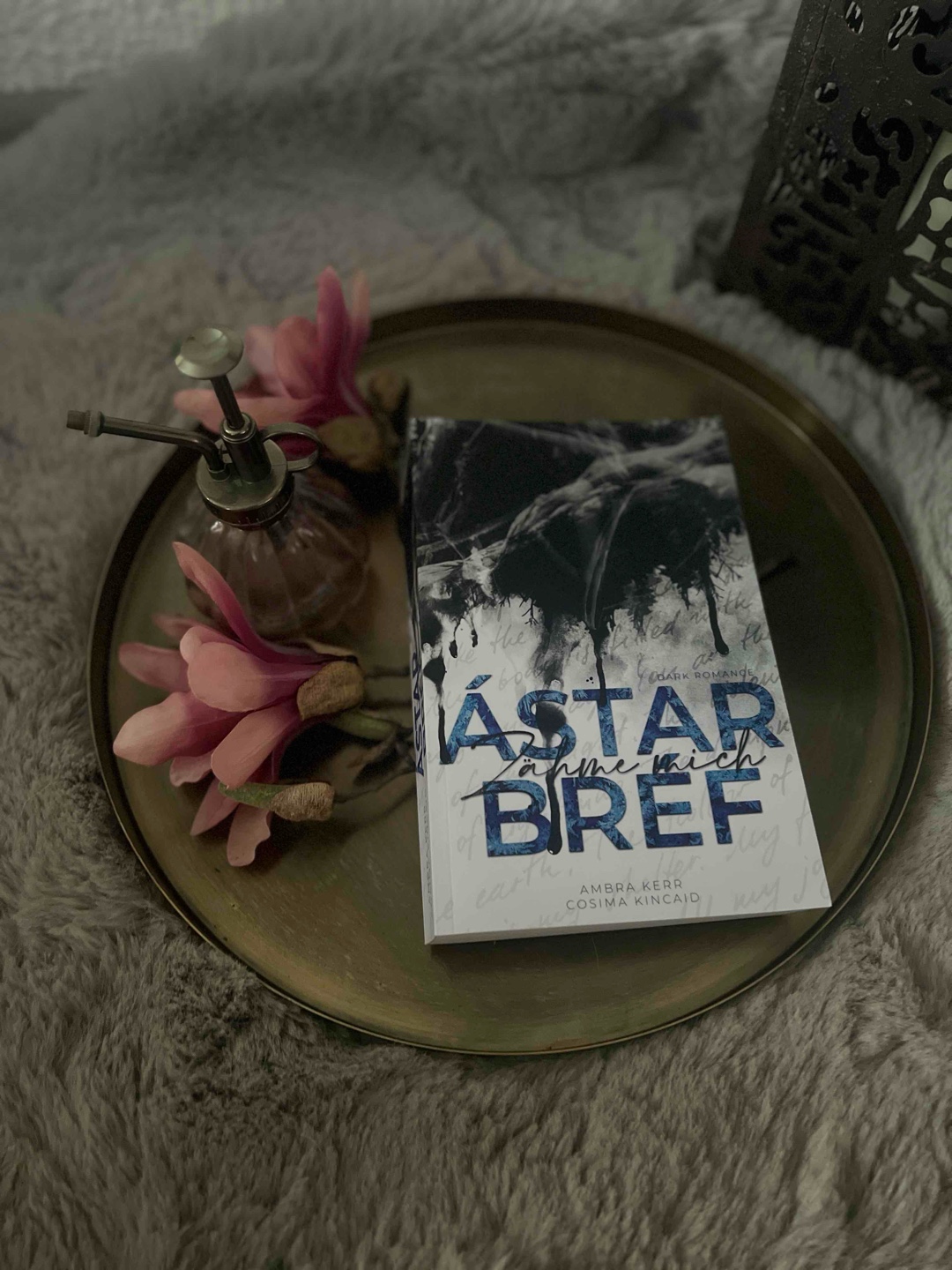 Wow- mein zweites Buch von Ambra und auch dieses hat mich geflasht😍 ich liebe die Story um sindre und Soley, die Entwicklung der Story und vorallem von soley ist so toll beschrieben. Definitiv ein Muss für dark Romance Liebhaber ⛓️