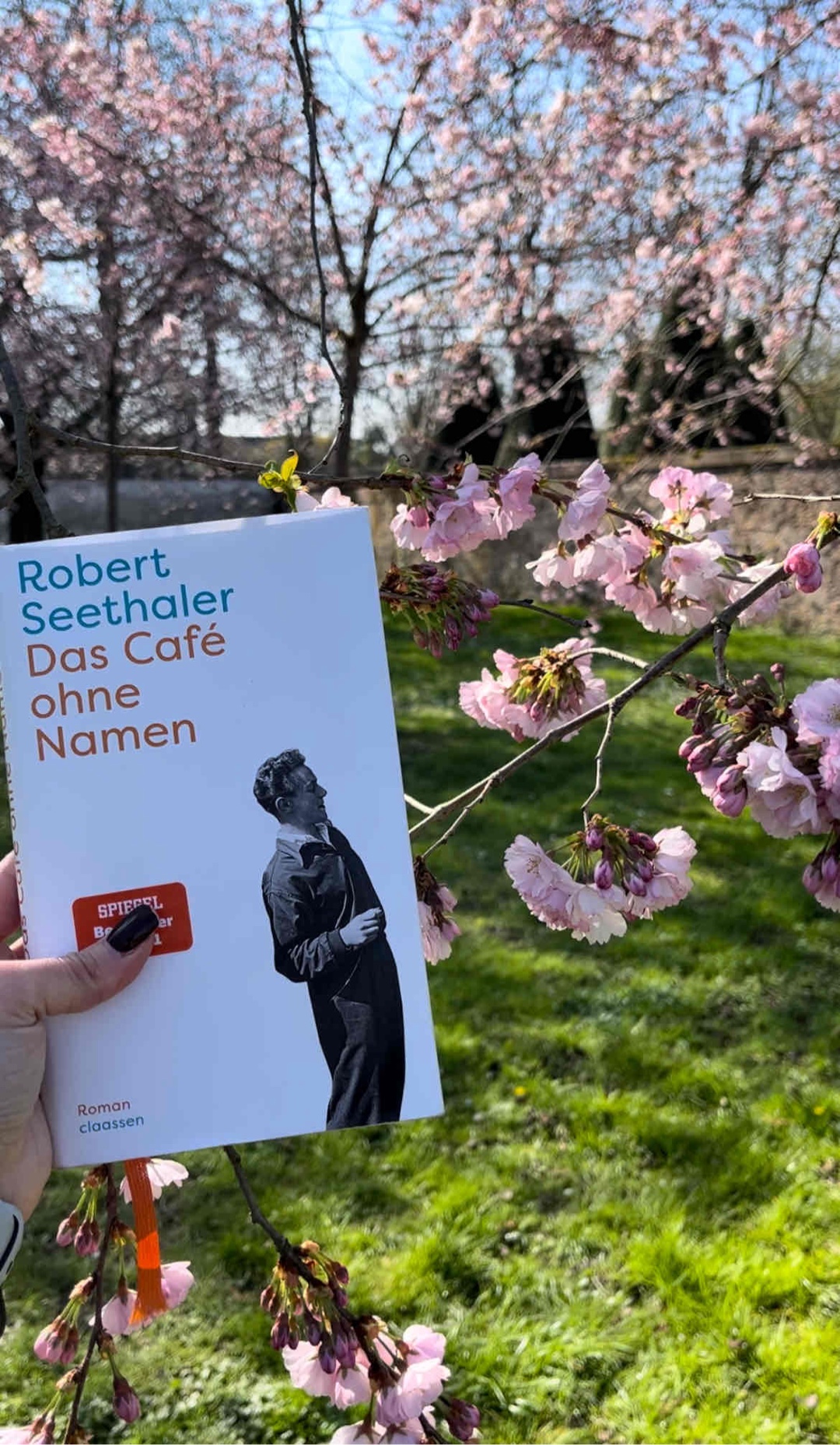 Der Schreibstil ist einfach. Sowie die Charaktere und die Geschichte an sich. Insgesamt war das Buch ok.