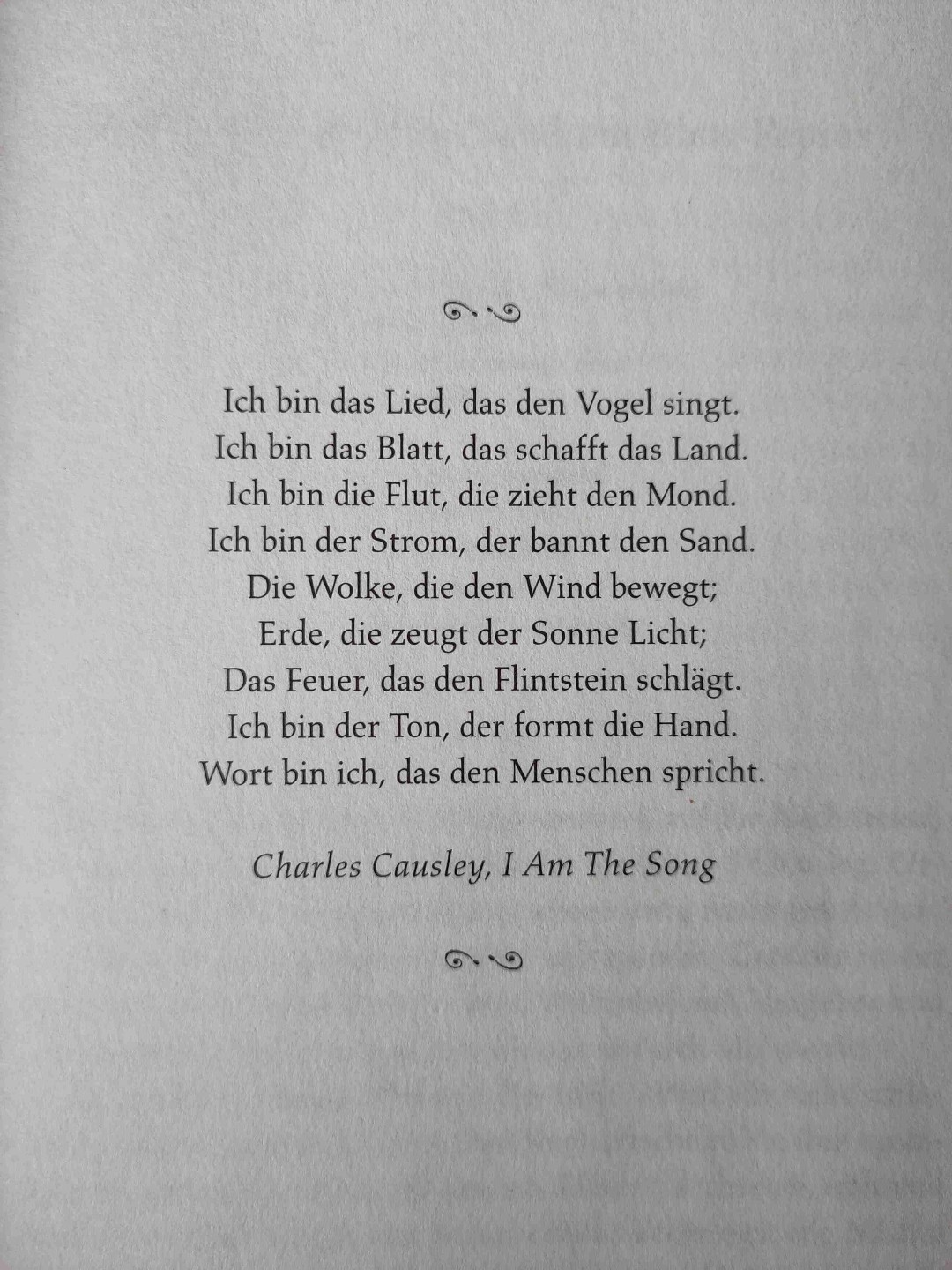 Ein spannendes Abenteuer in der Tintenwelt für groß und klein 📚✍🏻