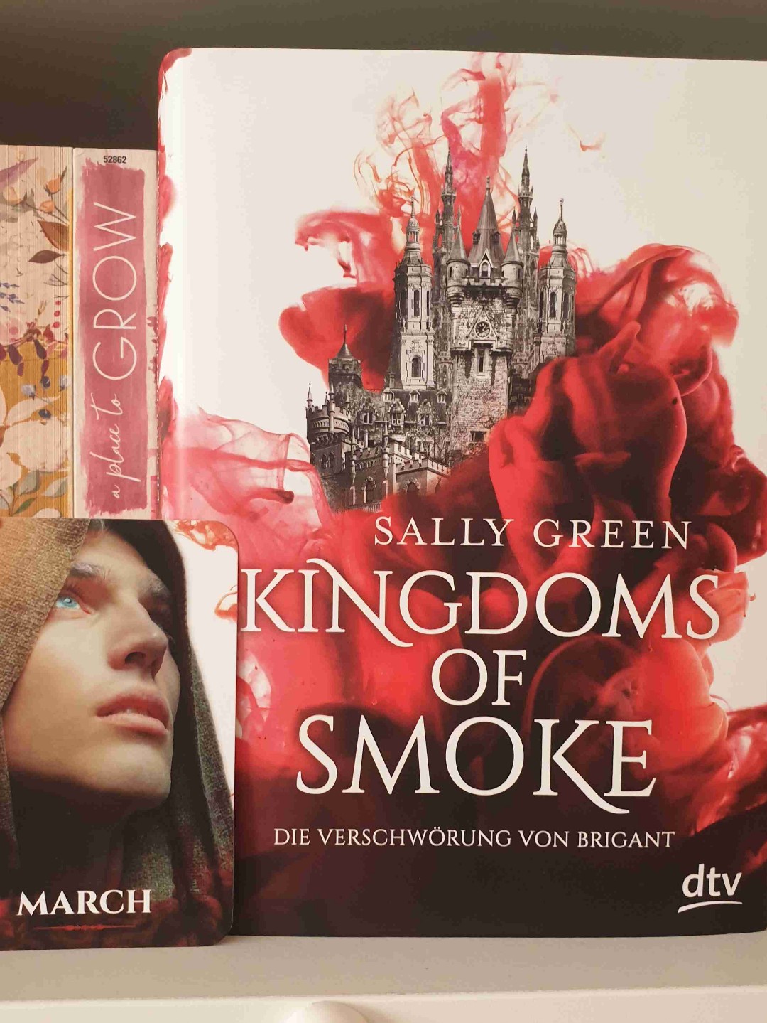 Ich hatte dieses Werk lange auf meinem SUB und ganz ehrlich ich hätte es früher lesen sollen.