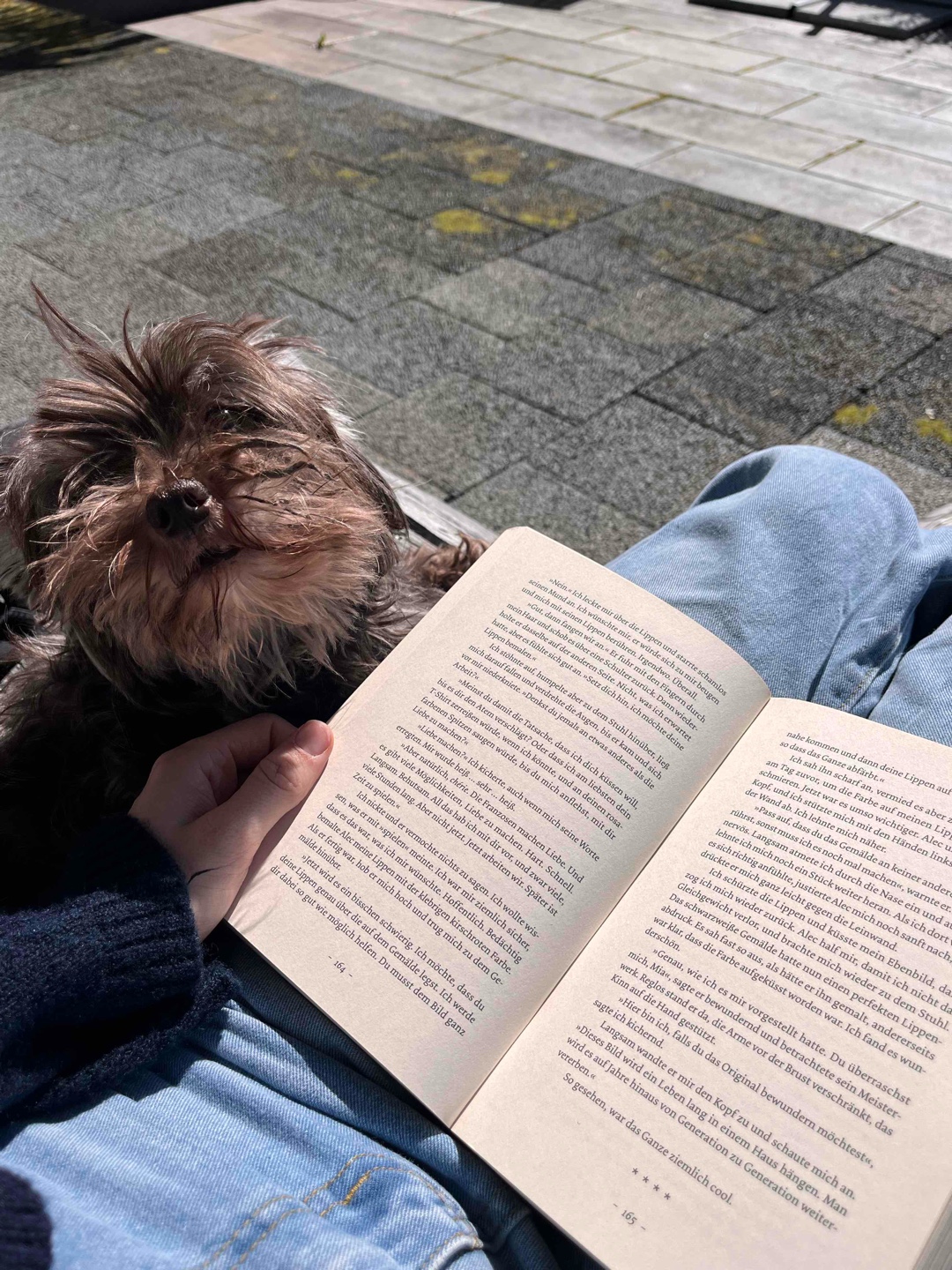 Das Buch ist super geschrieben & fesselt einen direkt. Teil 2 (von 4) wird definitiv auch gekauft! 10/10! ✨🤝🏻