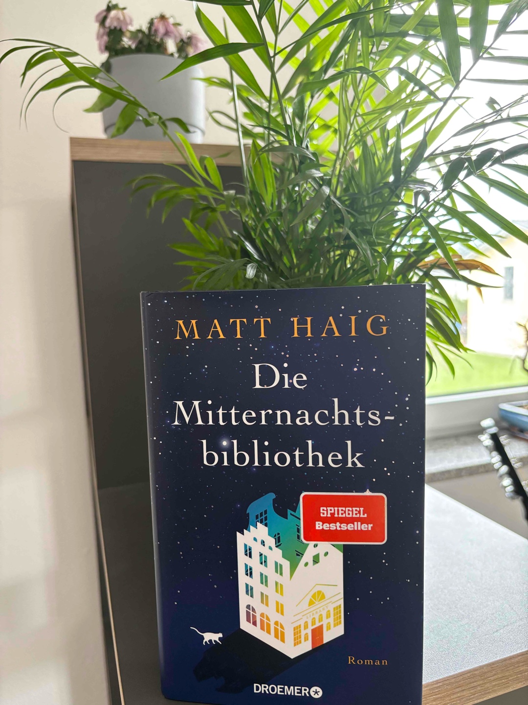 Nachdenkbuch 📖