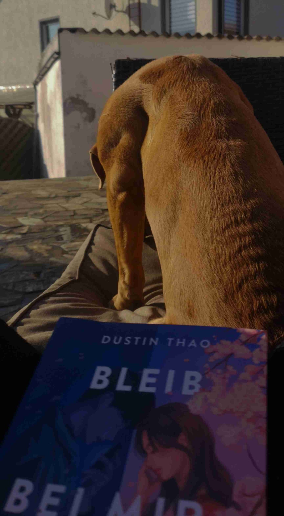 ✨🌸Es ist eine sehr schöne emotionale Geschichte und Tränen sind auf jeden Fall vorprogrammiert. Aber das Buch war nicht so mein Geschmack. Das liegt nicht daran, dass es nicht gut geschrieben ist, sondern daran, dass ich sehr emotionale Bücher die so ein Setting / Geschichte haben kaum lese.🌸✨