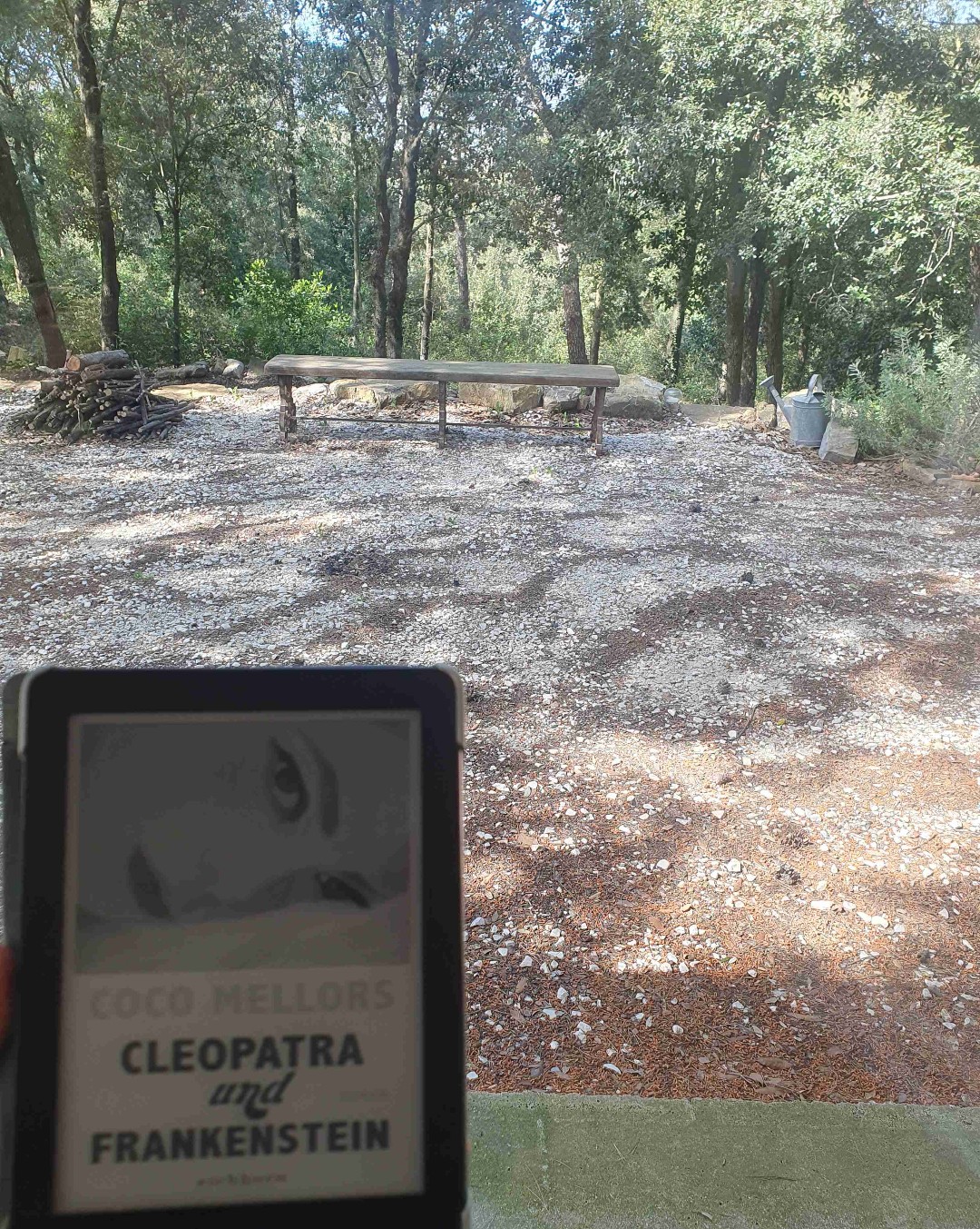 #Lieblingsleseplatz ❤️
Und dazu noch dieses unglaublich herzzerreißende Buch!